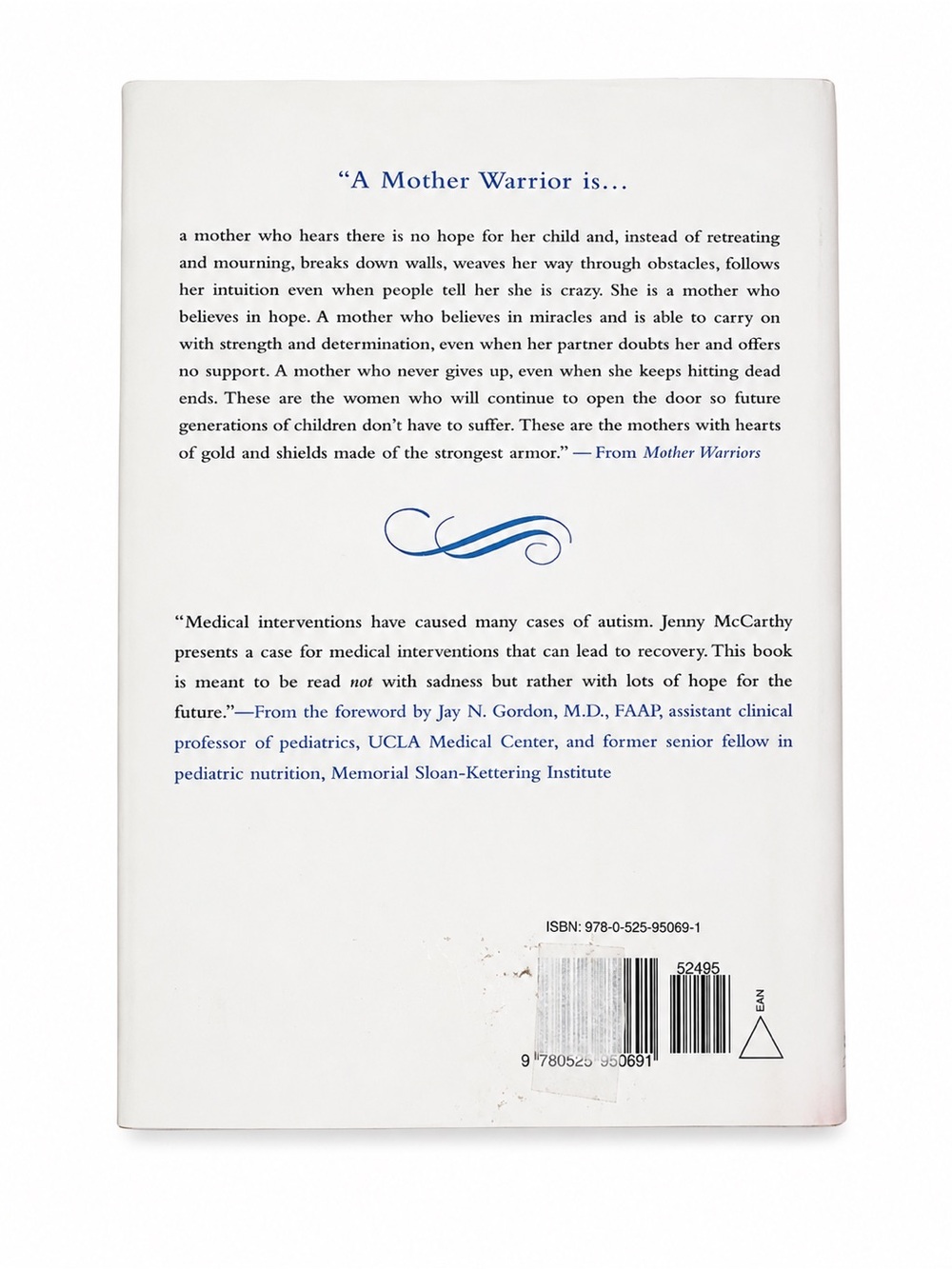 Jenny McCarthy Mother Warriors Hardcover Book Autism Parenting Memoir - Picture 2 of 5